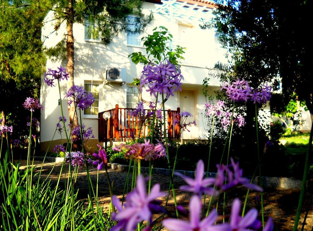 Teos Village Seferihisar Cameră foto